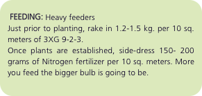   FEEDING: Heavy feeders Just prior to planting, rake in 1.2-1.
