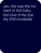  yes, this was the moment of first baby, first love of the foal