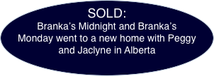 SOLD: Branka’s Midnight and Branka’s Monday went to a new home 